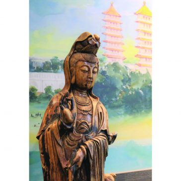 【人间妙法】一心称名