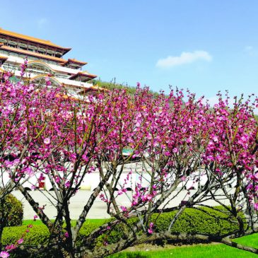 【疫定会好】大觉寺的防疫日记
