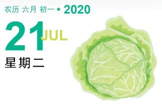 【素食煮意】翡翠福袋