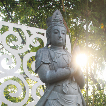 【佛法真义】放光