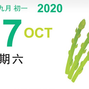 【素食煮意】柠檬鲜扒