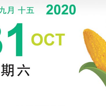 【素食煮意】薏仁炒饭