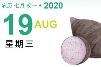 【素食煮意】五香豆腐卷