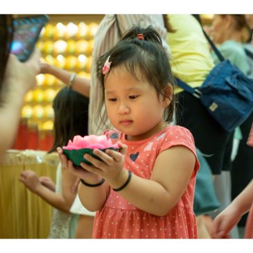 【佛法真义】点灯