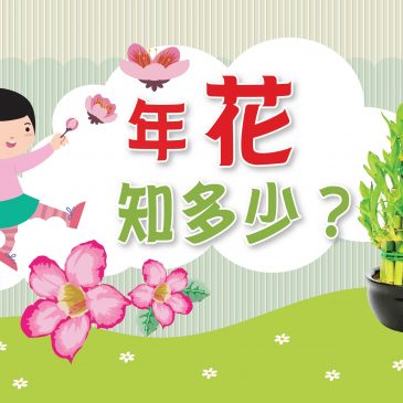【天星专题】年花知多少？