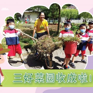 【活动报报看】三好菜园收成啦！