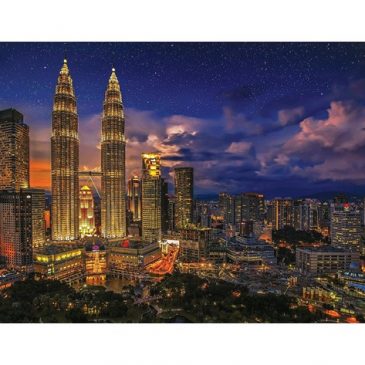 【生命关怀】政治与我何干？