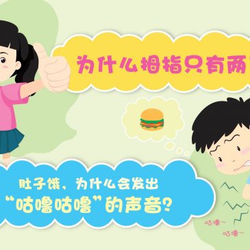 【原来如此】为什么拇指只有两节？ & 肚子饿，为什么会发出“咕噜咕噜”的声音？