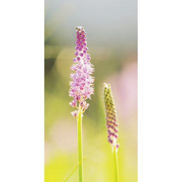 【生命关怀】你不孤单