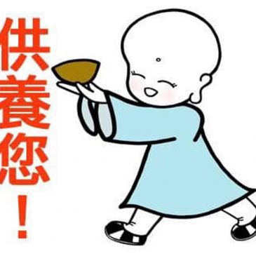 【丛林趣闻】斗快斗智煮豆浆