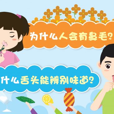 【原来如此】为什么人会有鼻毛？ & 为什么舌头能辨别味道？