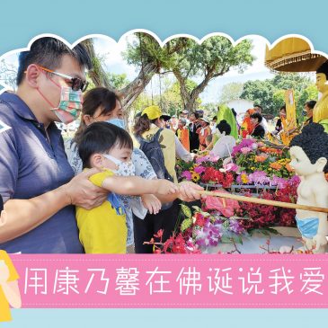 【活动报报看】用康乃馨在佛诞说我爱你