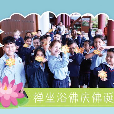 【活动报报看】禅坐浴佛庆佛诞
