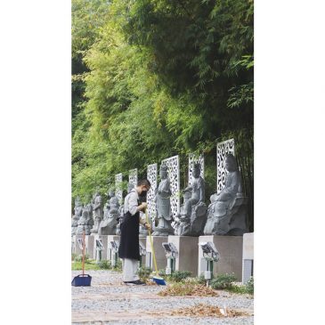 【佛法真义】修行