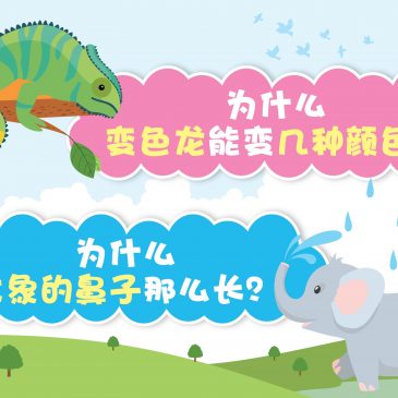 【原来如此】为什么变色龙能变几种颜色？ & 为什么大象的鼻子那么长？