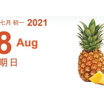 【素食煮意】椰风晚霞