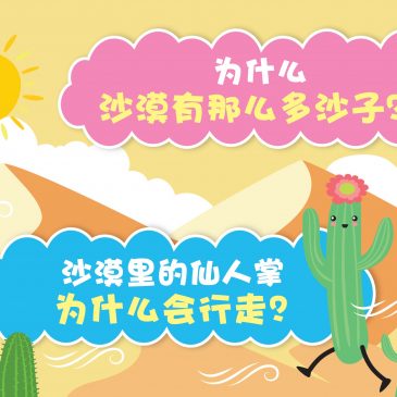 【原来如此】为什么沙漠有那么多沙子？ & 沙漠里的仙人掌为什么会行走？