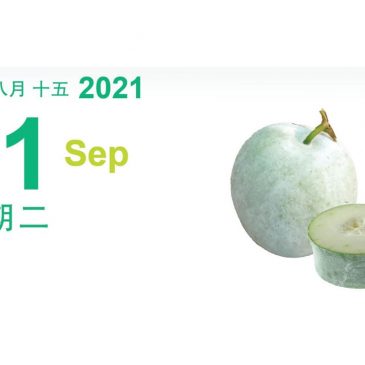 【素食煮意】冬瓜海带汤