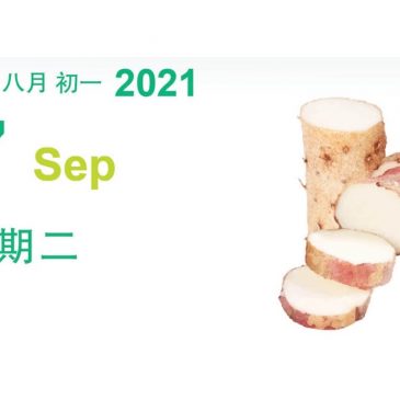 【素食煮意】药膳菇