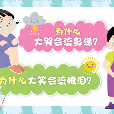 【原来如此】为什么大哭会流鼻涕？ & 为什么大笑会流眼泪？