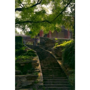 【与佛同行】你在做什么？