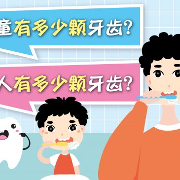 【原来如此】儿童有多少颗牙齿？ & 成人有多少颗牙齿？