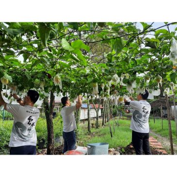 【飞跃校园】上班族的天堂
