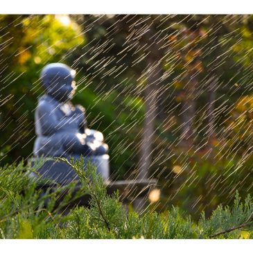 【与佛同行】身心安住