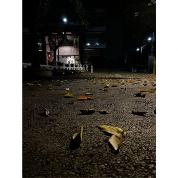 【与佛同行】岁末