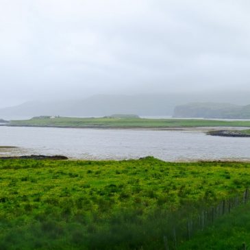 普门【行影不离】你在天涯，我在海角