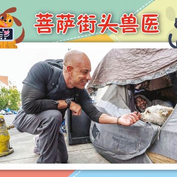 小天星【一起来点赞】菩萨街头兽医