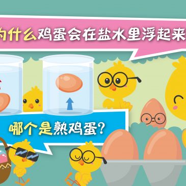 小天星【原来如此】为什么鸡蛋会在盐水里浮起来？ 哪个是熟鸡蛋？