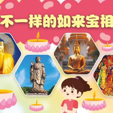 小天星【带你看世界】不一样的如来宝相