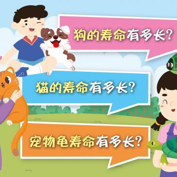 小天星【原来如此】狗的寿命有多长？ 猫的寿命有多长？ 宠物龟寿命有多长？