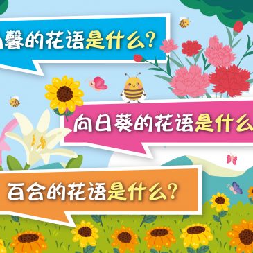 小天星【原来如此】 康乃馨的花语是什么？  向日葵的花语是什么？ 百合的花语是什么？