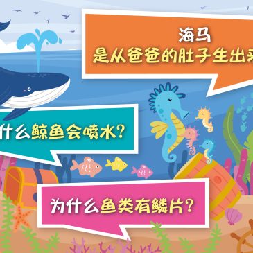 小天星【原来如此】 海马是从爸爸的肚子生出来的？为什么鲸鱼会喷水？ 为什么鱼类有鳞片？