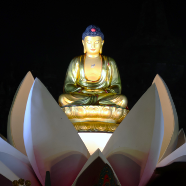 普门【星云说偈】不起斗诤过