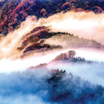 普门【大自然光影视界】山岚深处的柔情