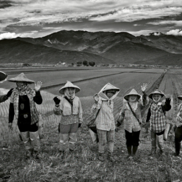 普门【大自然光影视界】乡土的呼吸，记忆的温度