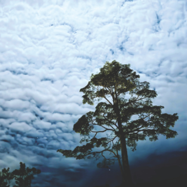 普门【星云说偈】心闲