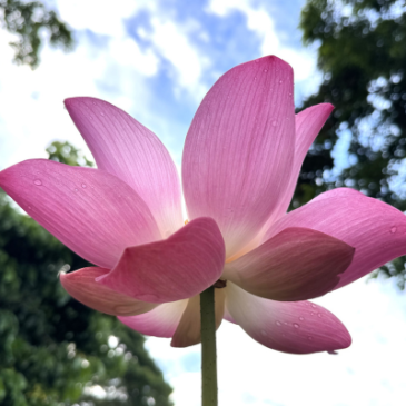 普门【星心相惜】留下空钱包