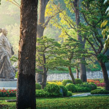 普门【特别企划】星云大师灵骨分灯祈愿文