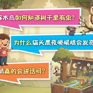 小天星【原来如此】啄木鸟如何知道树干里有虫？为什么猫头鹰夜晚眼睛会发亮？鹦鹉真的会讲话吗？
