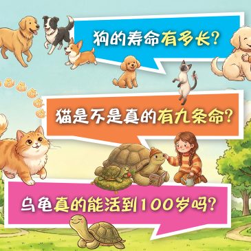 小天星【原来如此】狗的寿命有多长？猫是不是真的有九条命吗？乌龟真的能活到100岁吗？
