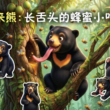 小天星【动物小侦探】马来熊：长舌头的蜂蜜小吃货