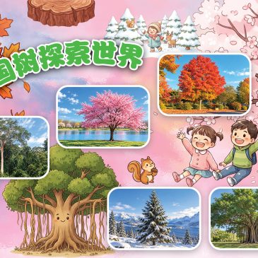 小天星【带你看世界】从国树探索世界